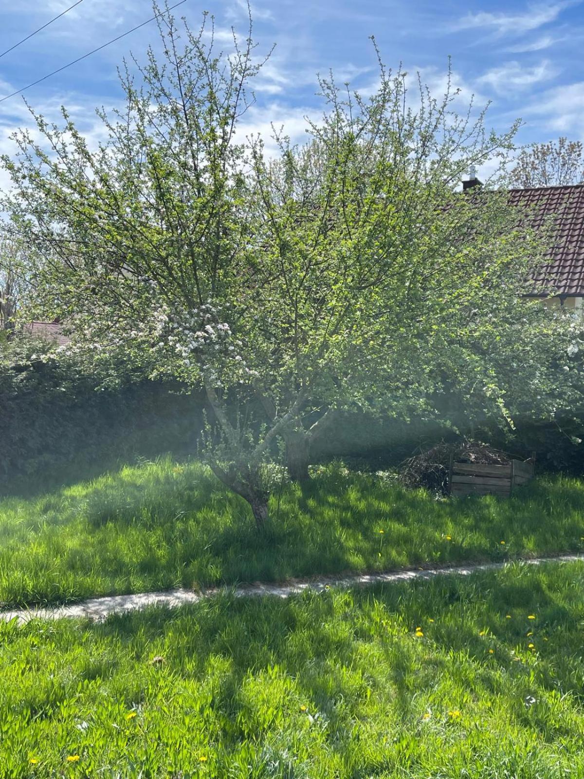 Bungalow In Ruhiger Siedlung Mit Stellplatz Ландсхут Экстерьер фото